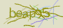 Проверочный код